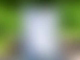 Hot Review! Italian Tiles | Lemon Summer Budget Bridal Shower