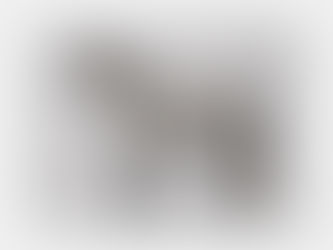 Top 5! DAPPLE GREY HORSE DOORMAT