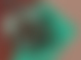 Review Teal and Rust Boho Designs Wrapping Paper Sheets