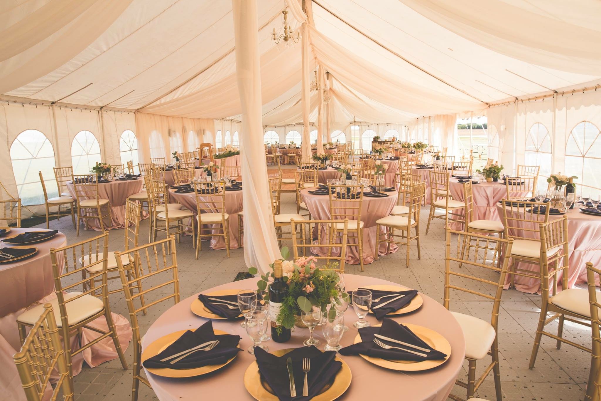 Backdrop Draping Dream Day Decor