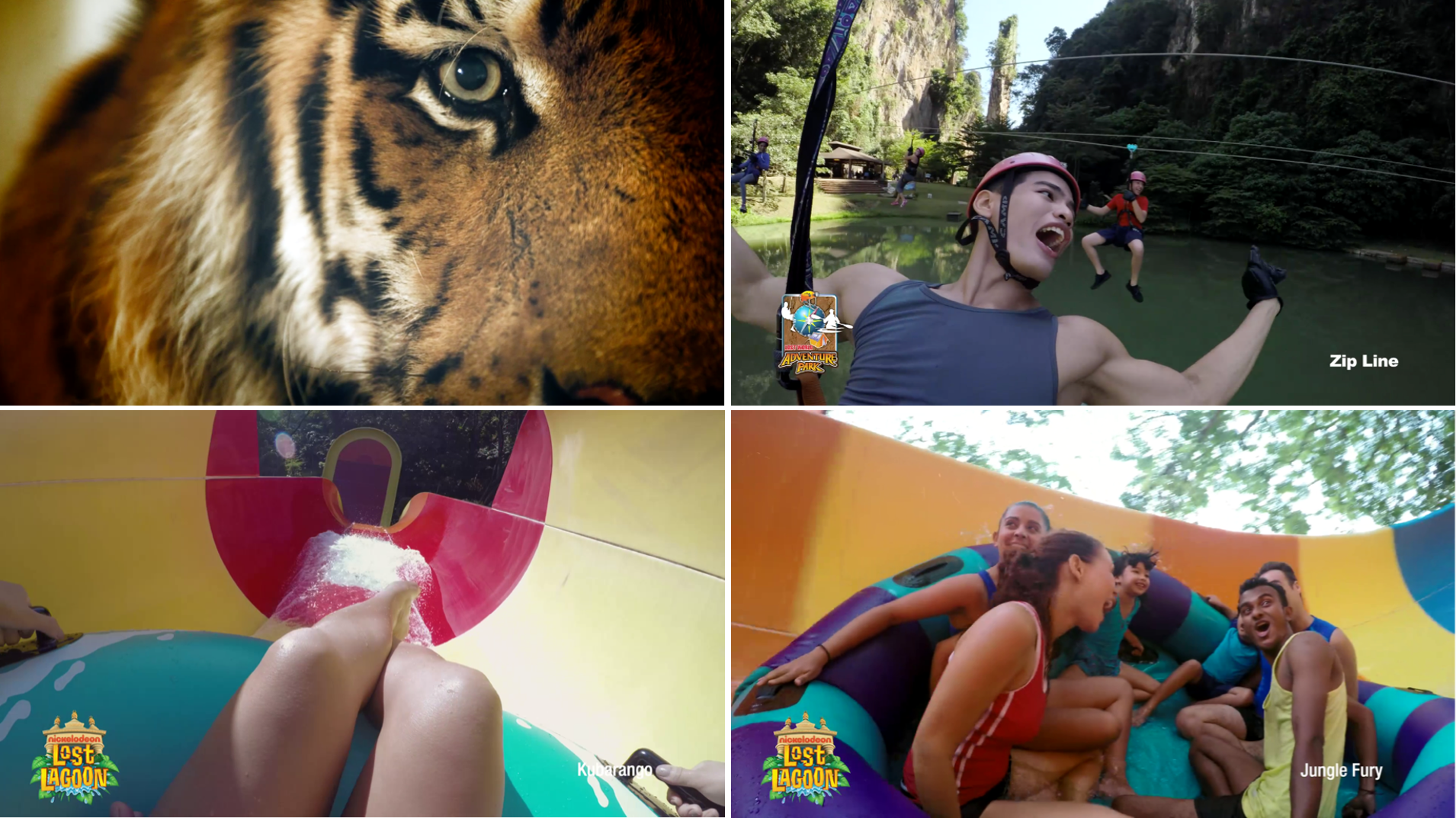 More Than Just A Theme Park