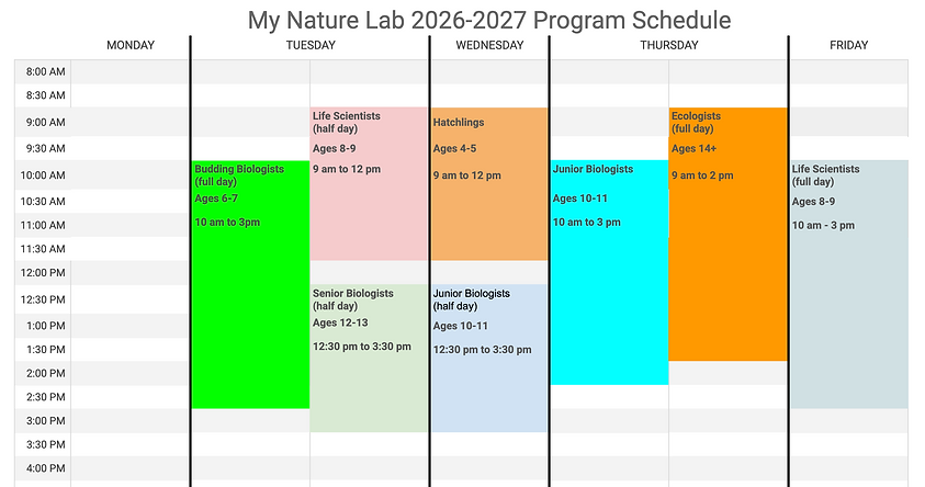 Screenshot 2026-06-30 at 4.35.04 PM.png