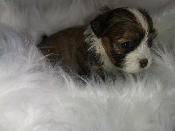 WhatsApp_Image_2021-10-01_at_16.50.19