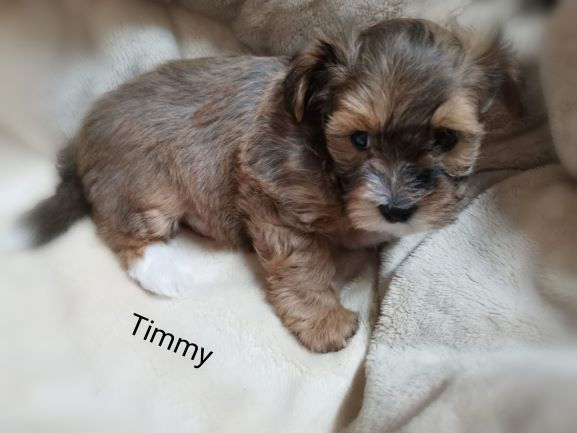 WhatsApp_Image_2020-02-22_at_18.44.32