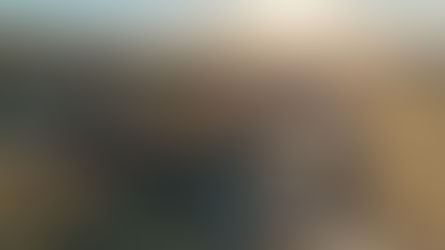 Exciting Progress in Badger Mountain South: Building Milestones and Community Growth