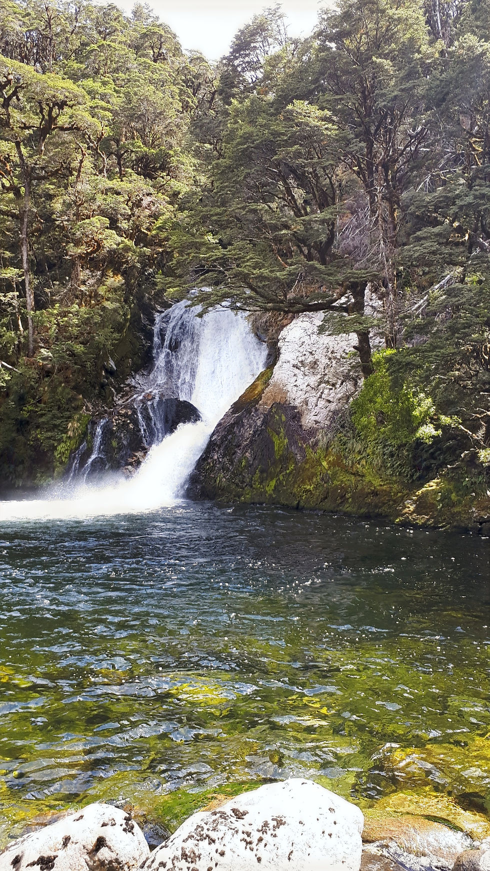 Iris Burn on the Kepler Track
