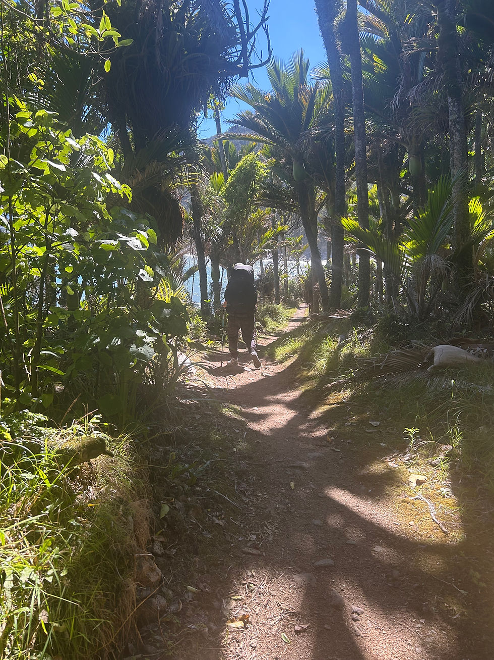 Coastal Track to Heaphy Hut