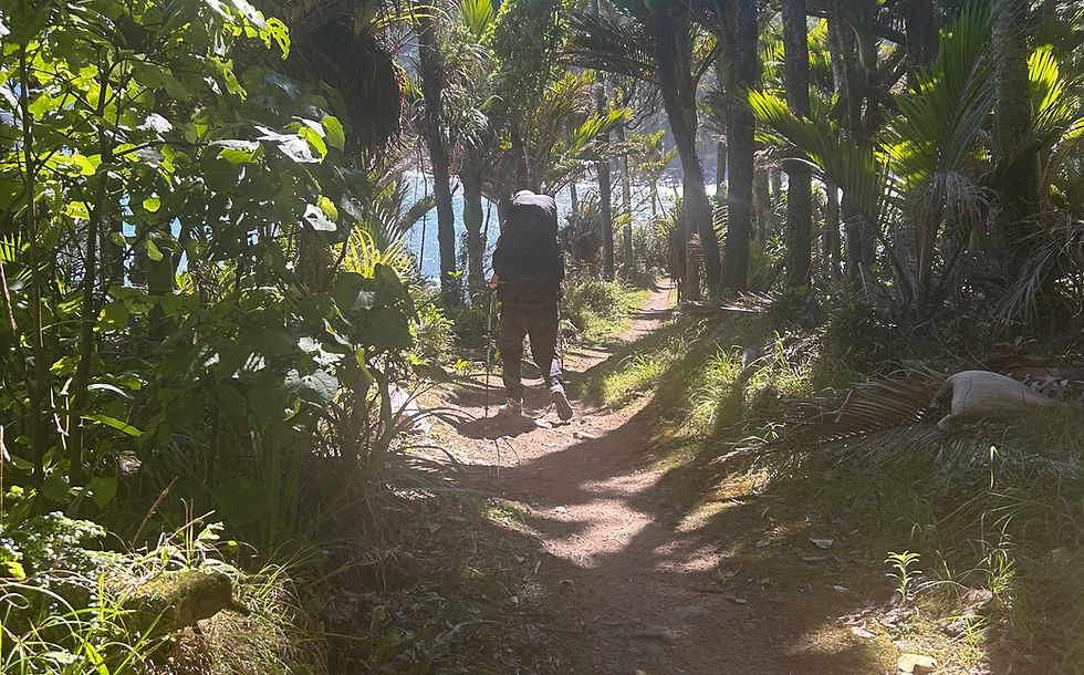 Hiker on Heaphy Track