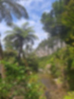 Pororari River and limestone cliffs