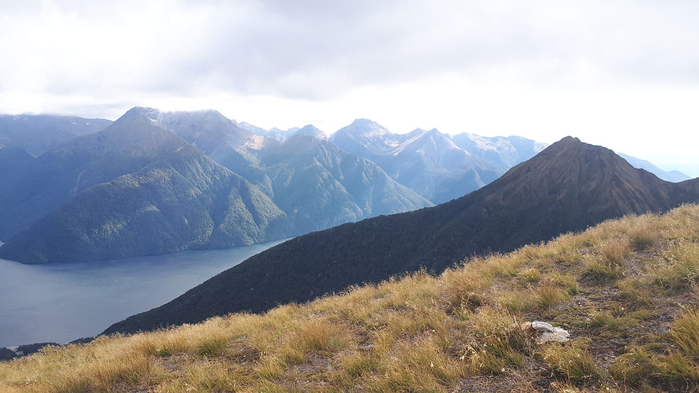 Views over Te Anau Basin