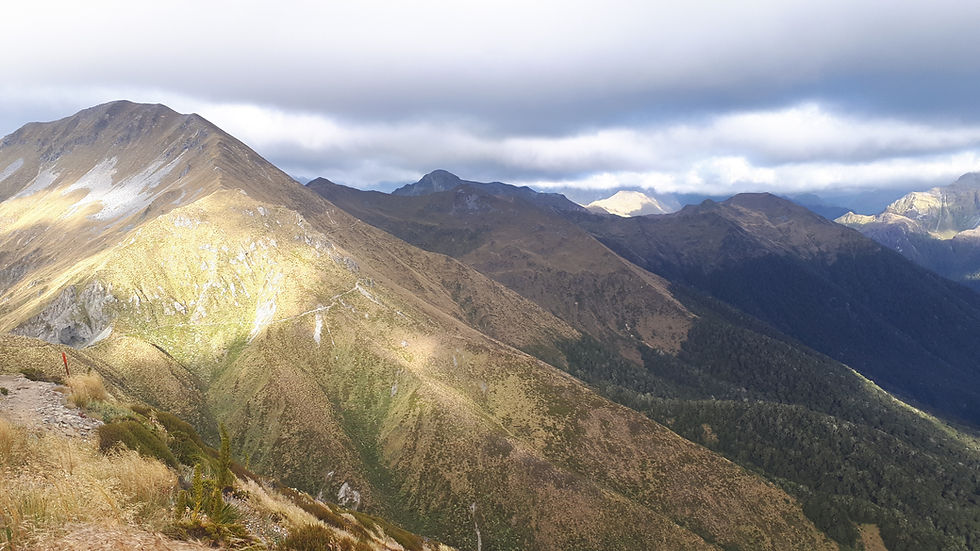 Kepler Track Ridgeline