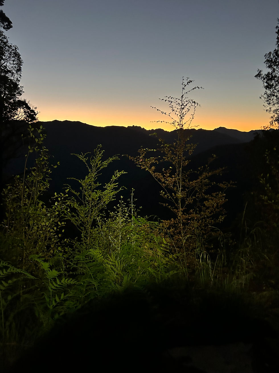 Sunrise on Heaphy Track