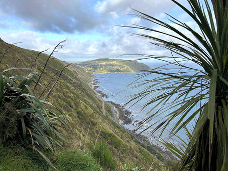 Paekakariki Escarpment Track