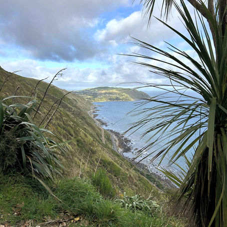 Paekakariki Escarpment Track