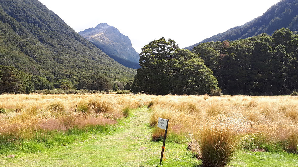 Views in front of Iris Burn Hut