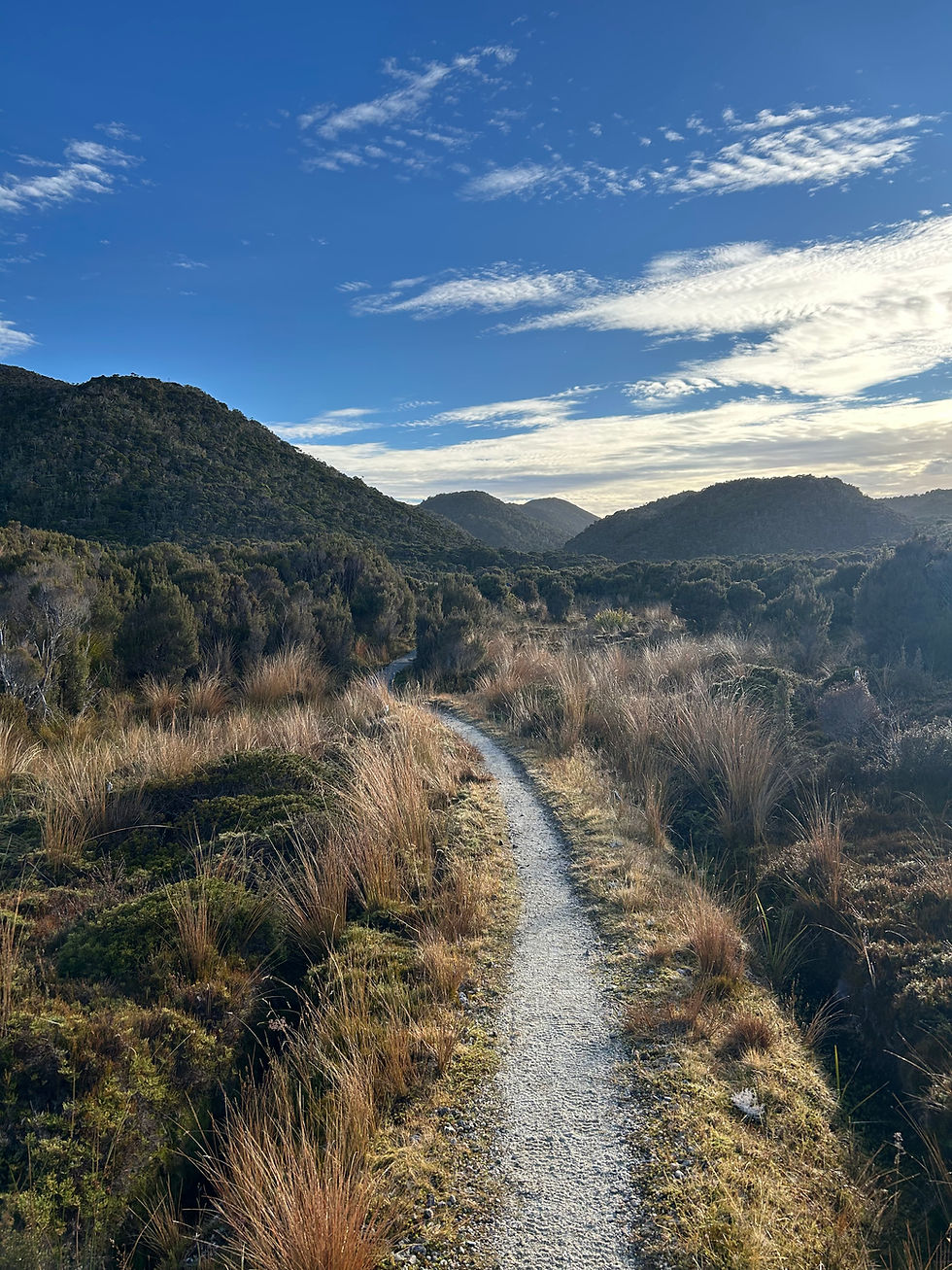 Heaphy Track