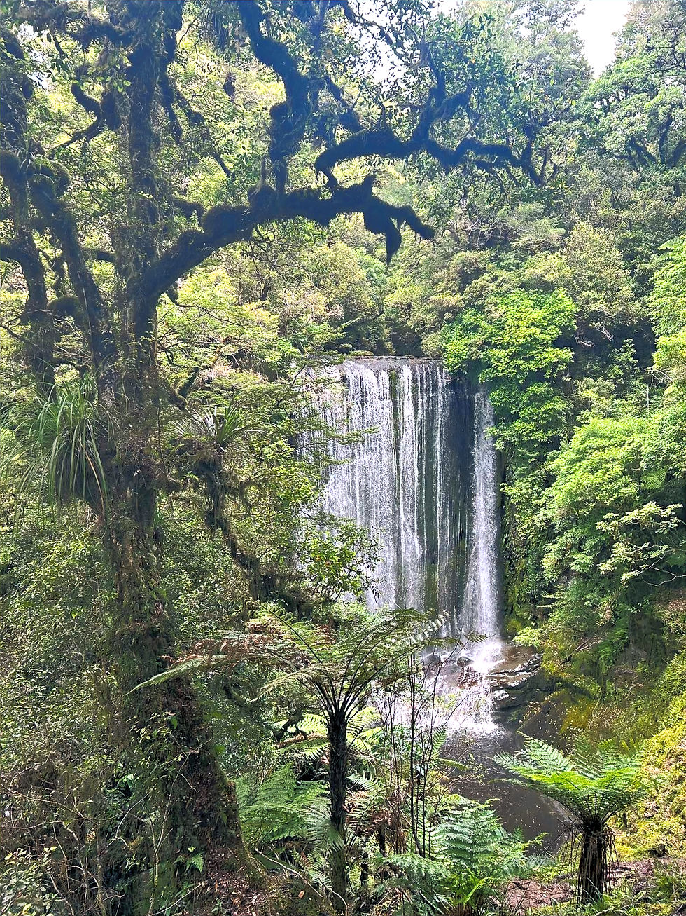 Korokoro Falls