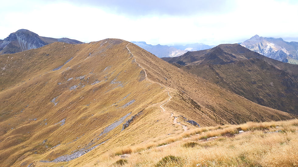 Kepler Track Ridgeline