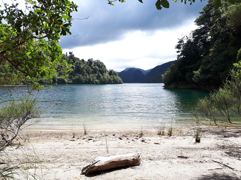 Lake Waikaremoana