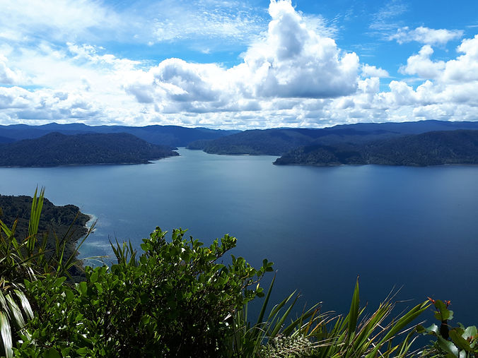 Waikaremoana Bluff.jpg