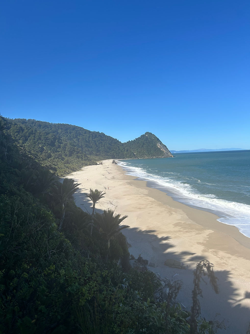 Scott's Beach Heaphy Track