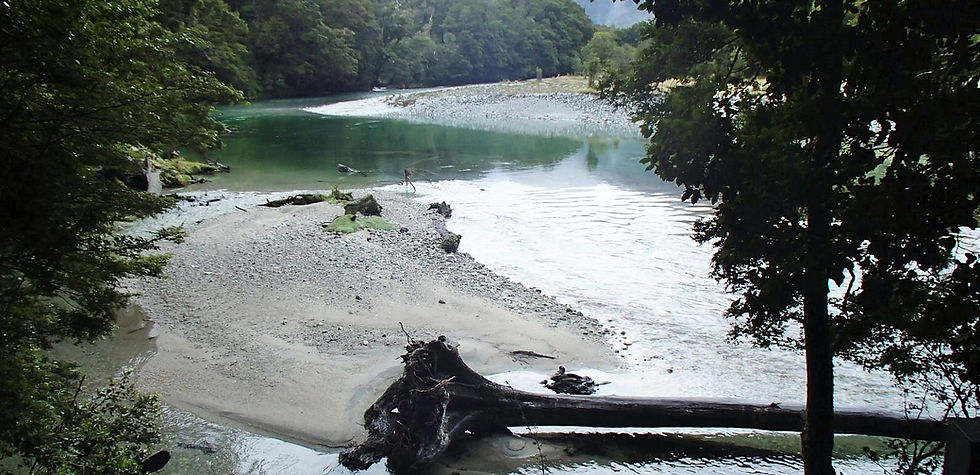 Clinton River on Milford Track Great Walk