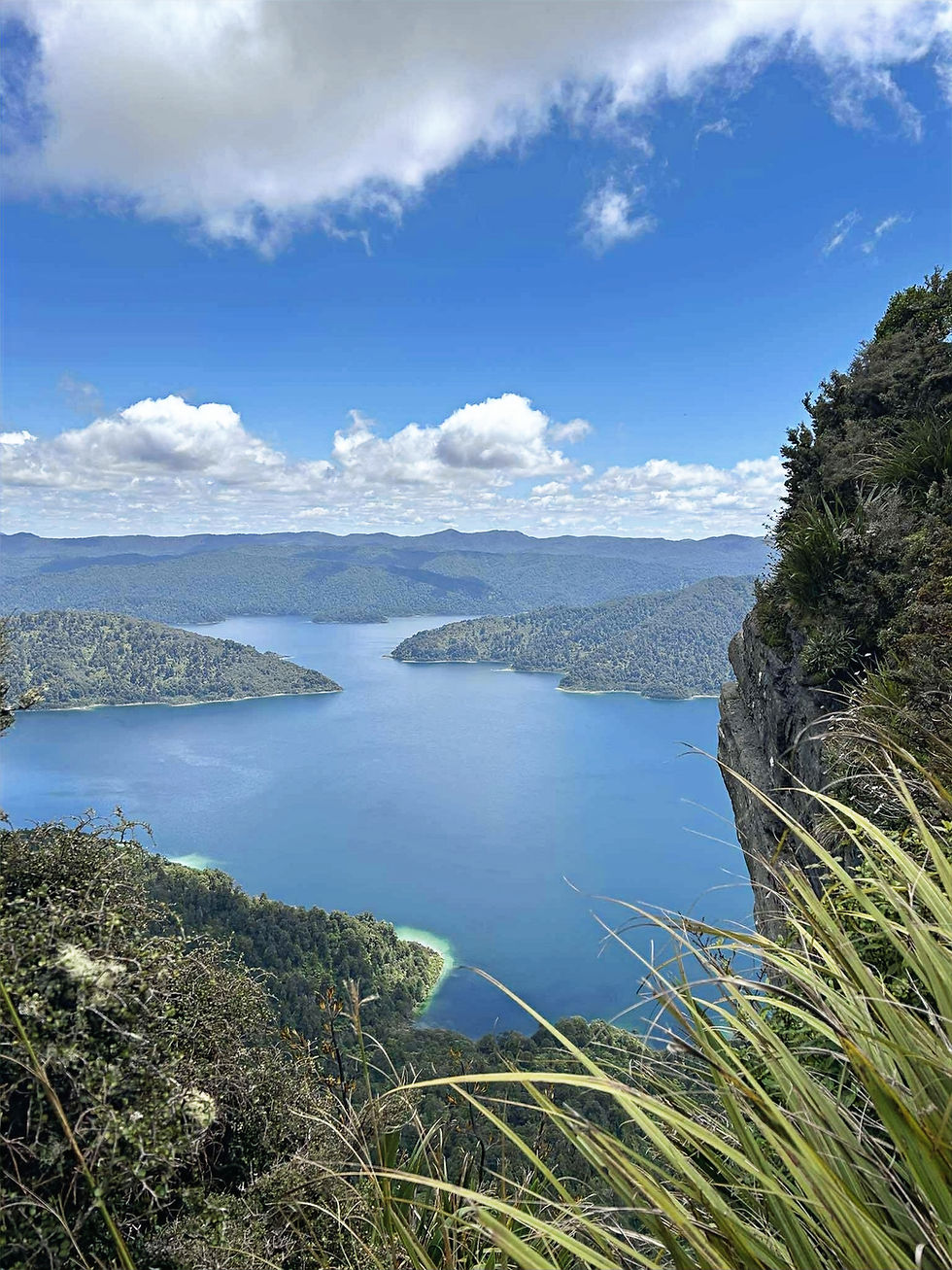 Panekire Bluff