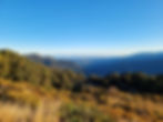 Paparoa Track