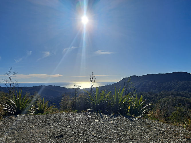 Paparoa Sun.jpg