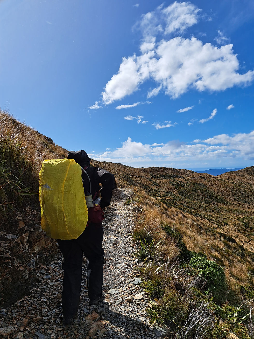 Hiking the Paparoa Track