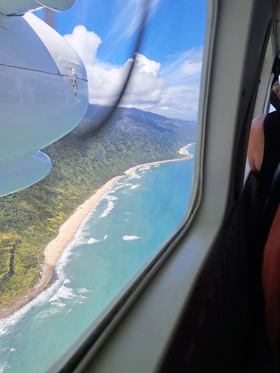Karamea Coast view from plane