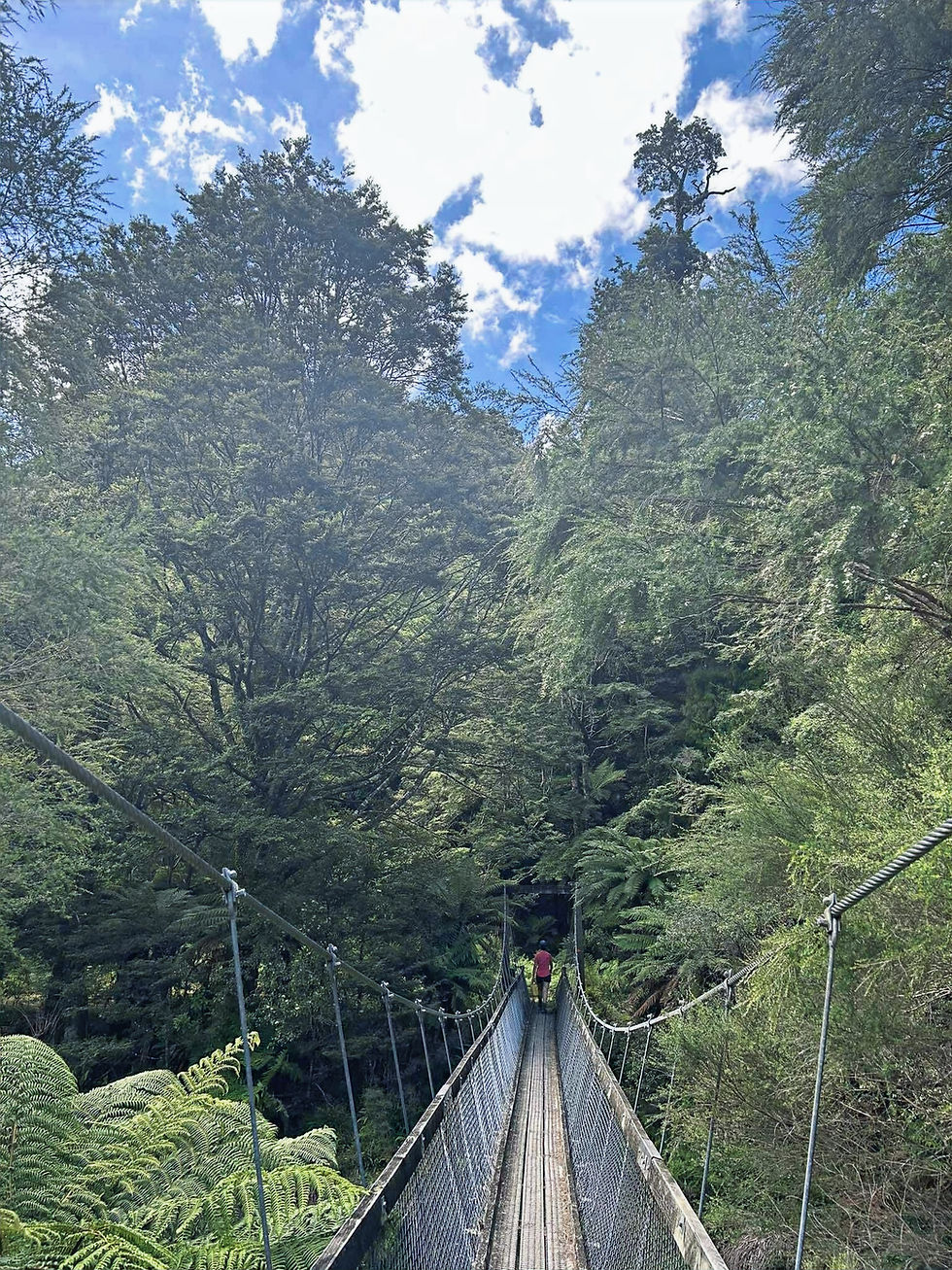 Suspension Bridge