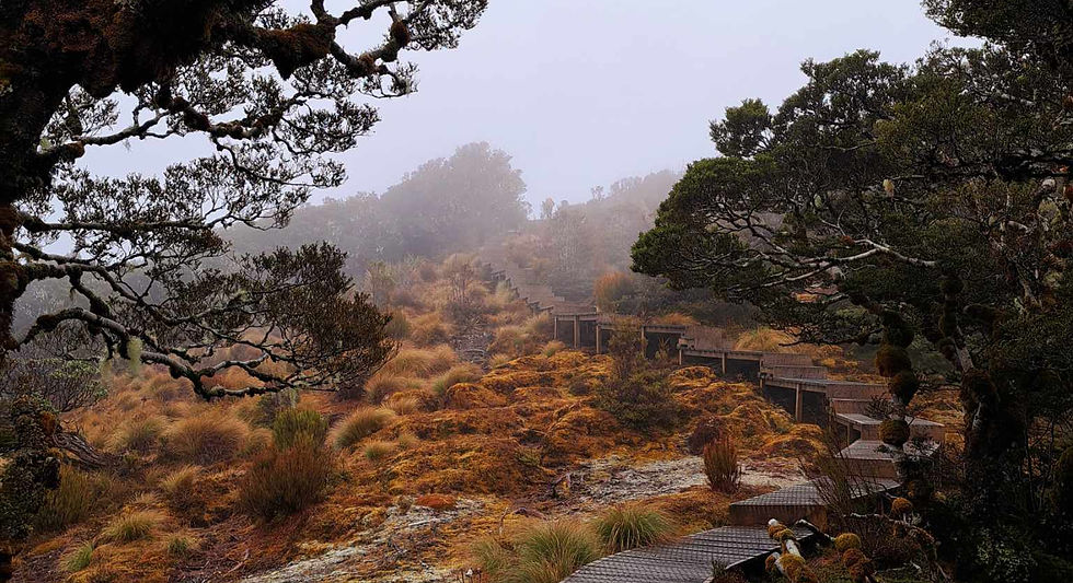 Hump Ridge Boardwalk.jpg