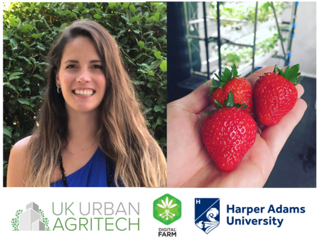 Webinar: What is the Secret of Growing Strawberries in TCEA