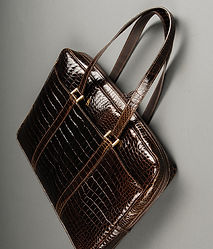 Snakeskin Handbag