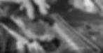 Fischer_CCC_BanhMiSandwitch_sw.jpg