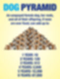 dog pyramid.jpeg
