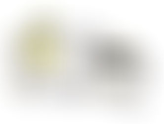 【事前予約制】ニシワキタダシとえちがわのりゆきが絵を描きます