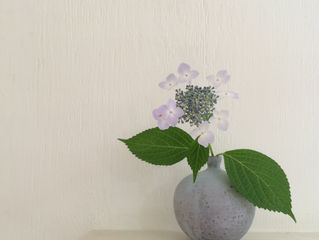 wakastudio「wakastudio of flowers」