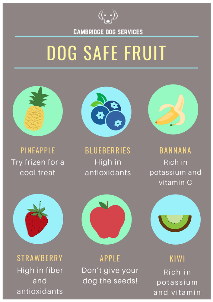 Dog safe fruits