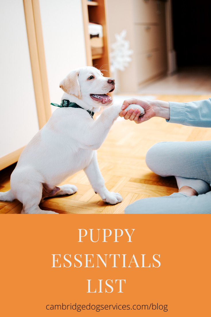 puppy essentials