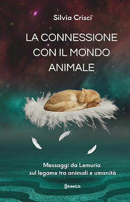 Silvia Crisci-21.png