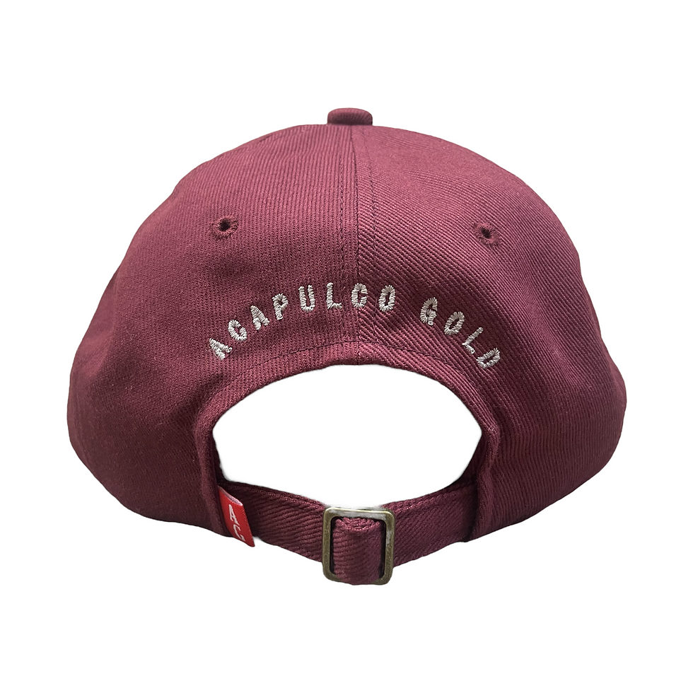 サムネイル： ACAPULCO GOLD / Yo! Leroy 6 Panel Cap