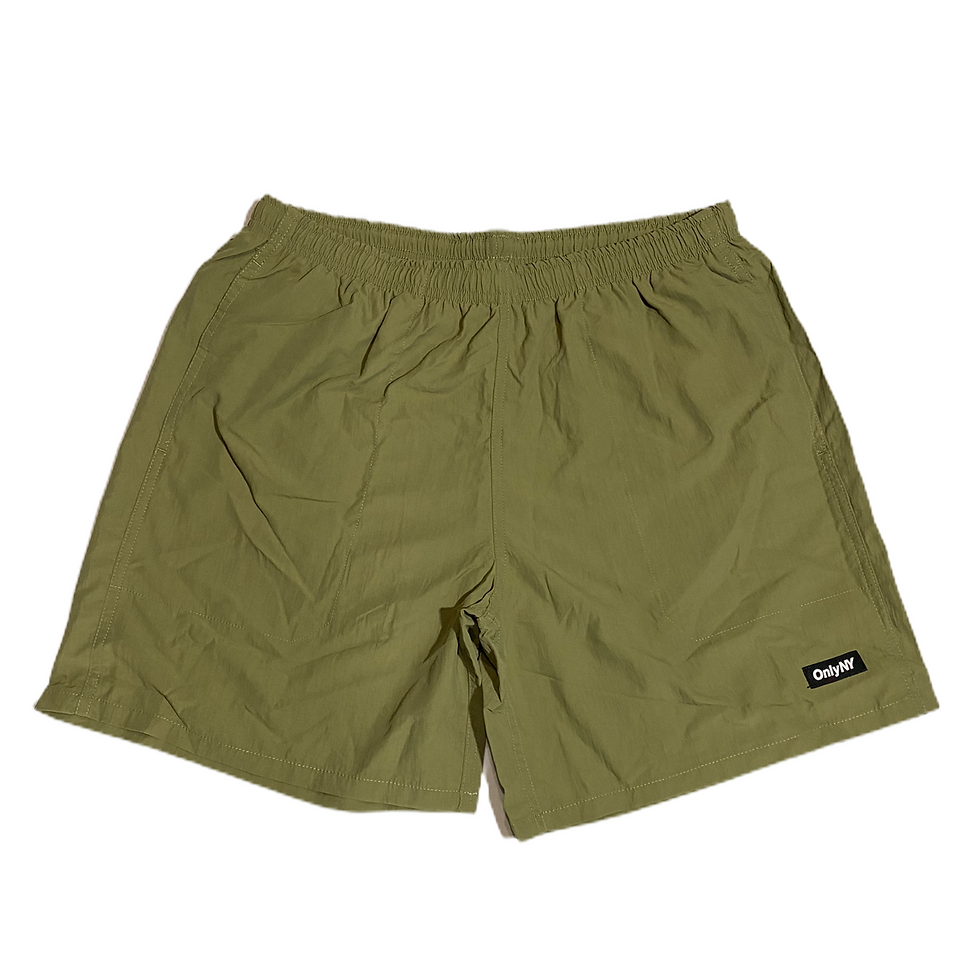 サムネイル： Only NY / Highfalls Swim