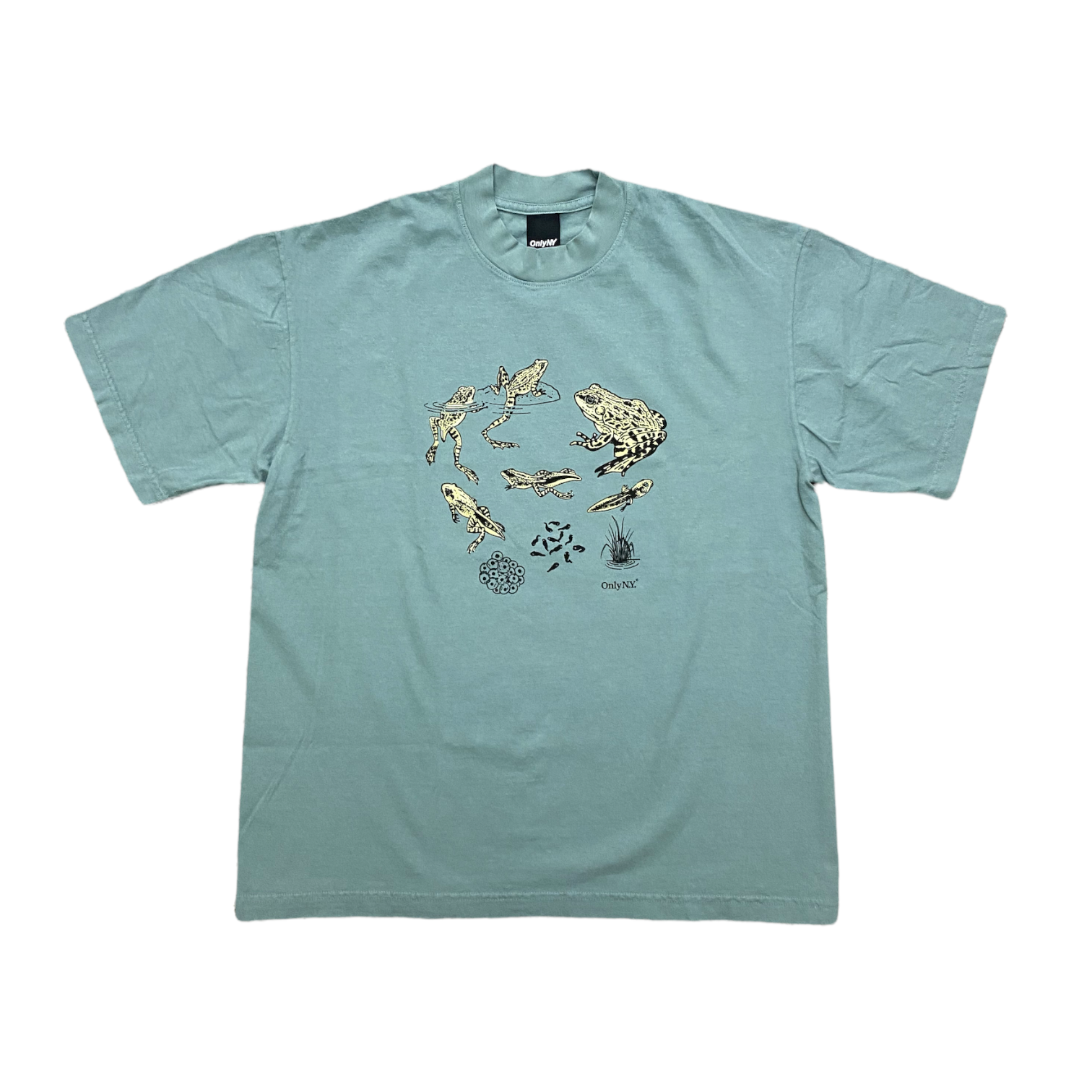 Only NY / Frog Life Cycle T-Shirt