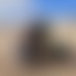 A Patrulha Tigre está de parabéns!