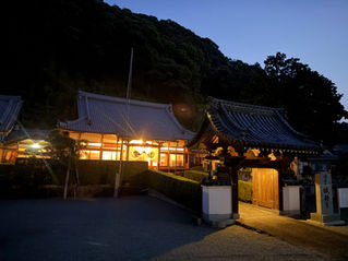 城願寺のライトアップを始めました