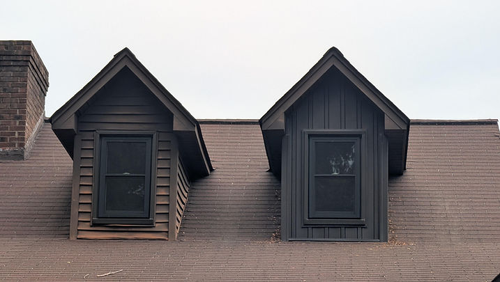 DOG DAY RENOVATIONS (1).jpg