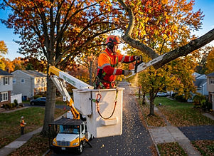 Tree_trimmer_on_a_professional_202606021013.jpeg