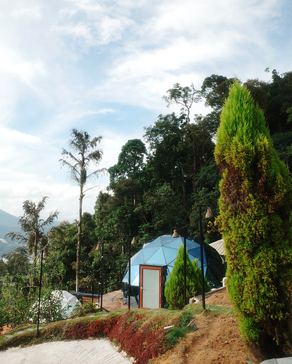 R0006820.JPG